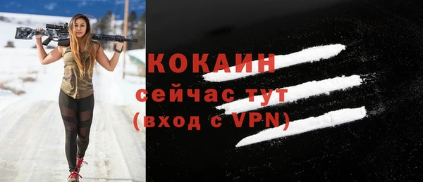 эйфоретик Дмитриев