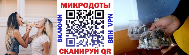 Псилоцибиновые грибы мухоморы  Заполярный 
